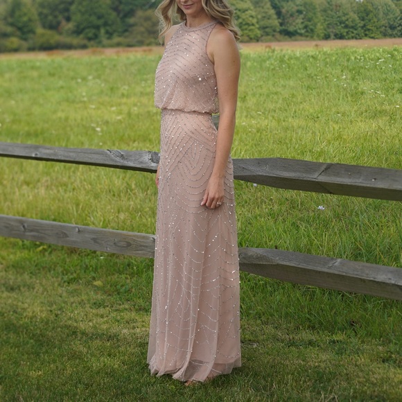 Adrianna Papell Blush Sequin Maxi Dress - Picture 1 of 13